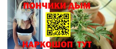 индика Краснознаменск