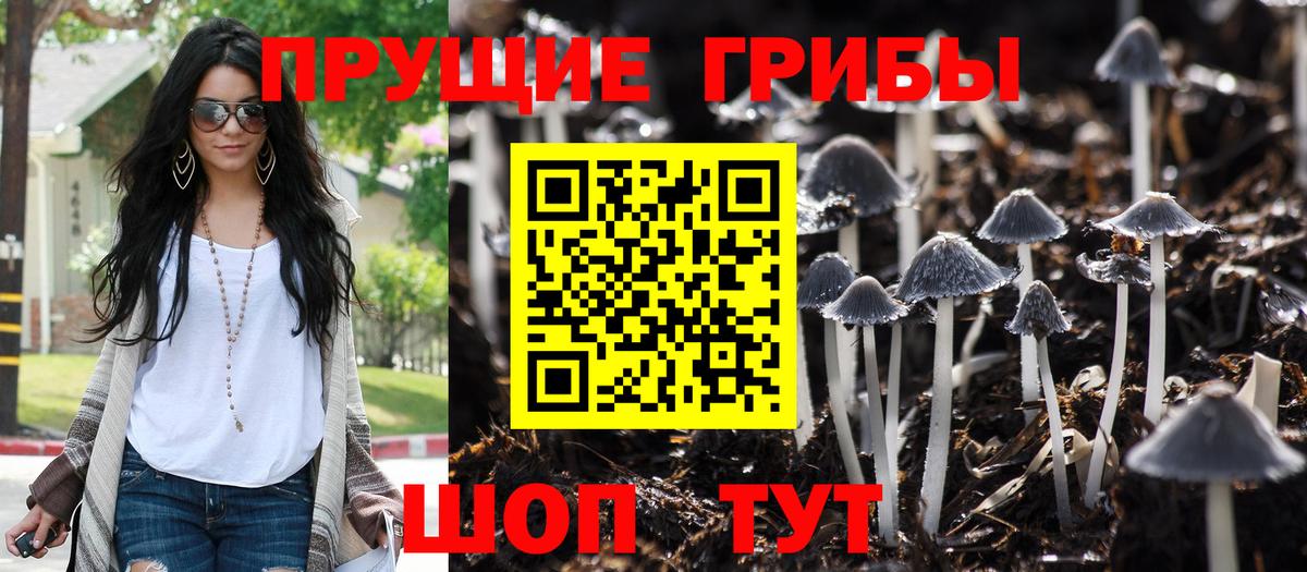 Псилоцибиновые грибы прущие грибы Коломна